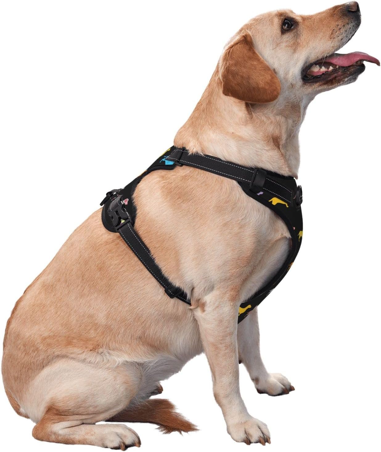 Waldeal Cute Dachshund Dog Harness No Pull, Adjustable Dog Walking Chest Harness with 2 Leash Clips, Comfort Soft Dog Vest, Reflective Front Body Harness, Size S Black