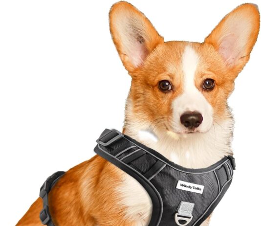 windytails dog harness for large medium small x large sized dog no pull tatical dog harness large dog medium dog with fr
