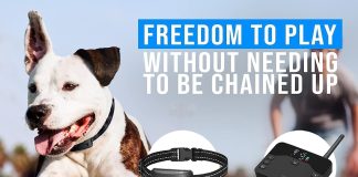 zealn life 2 in 1 wireless dog fence training collar with remote 2023 and electric fence for ultimate dog safety and fre