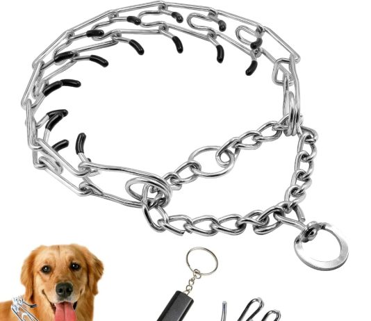 dog pinch collaradjustable dog training collar with quick release buckle for small medium large dogsdog martingale colla