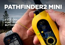 dogtra pathfinder 2 mini gps dog tracker e collar 4 mile long range led light no monthly fees free app waterproof smartw