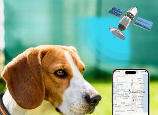 gps wireless dog fence electric pet containment system for outdoor range 32 3248ft anti lost function rechargeable harml