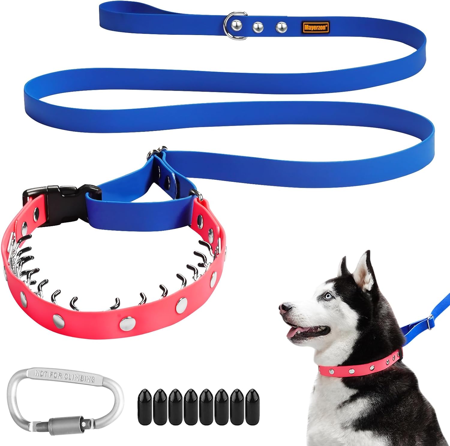 Mayerzon Martingale Collar, 2 in 1 No Pull Dog Collar and Leash for Small Medium Large Dogs, 6.5 FT x 1 Slip Leash for Outdoor Walking, Training, Heavy Duty and Easy to Use