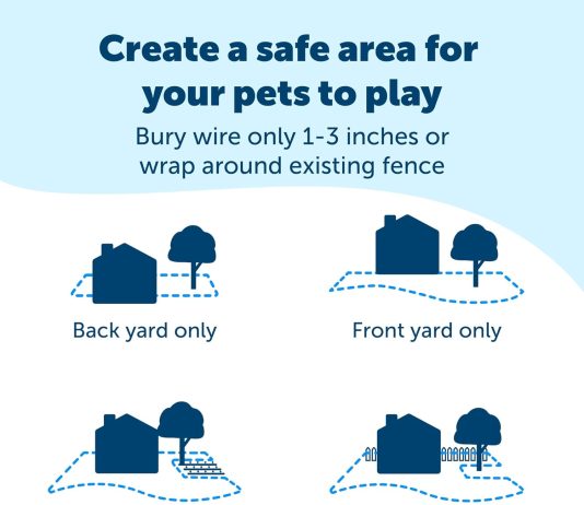 petsafe basic in ground pet fence from the parent company of invisible fence brand underground electric pet fence system