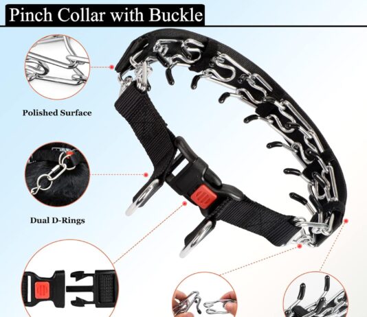 dog prong traing collar choke pinch collar for dogs 2 extra linksdog whistlecover with snap buckle and rubber caps no pu