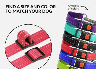 collardirect martingale dog collar review