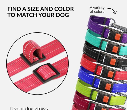 collardirect martingale dog collar review