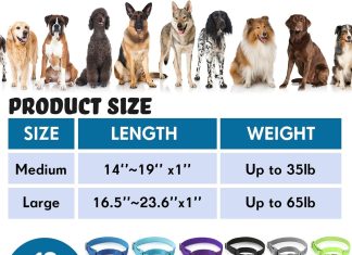 cunno 12 pcs martingale collar for medium dogs reflective dog collar with durable metal buckle adjustable nylon pet coll