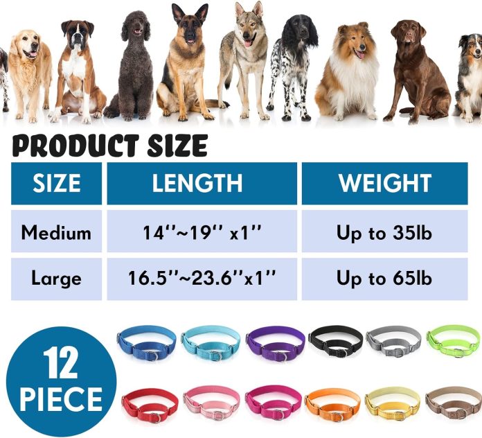 cunno 12 pcs martingale collar for medium dogs reflective dog collar with durable metal buckle adjustable nylon pet coll
