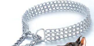 dog chain collar stainless steel adjustable walking collar metal cuban link dog collar chew proof triple row chain dog c