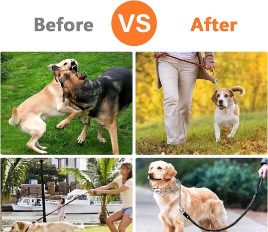 dog prong traing collardog choke pinch training collardog collar adjustable stainless steel links with rubber tips for m 1