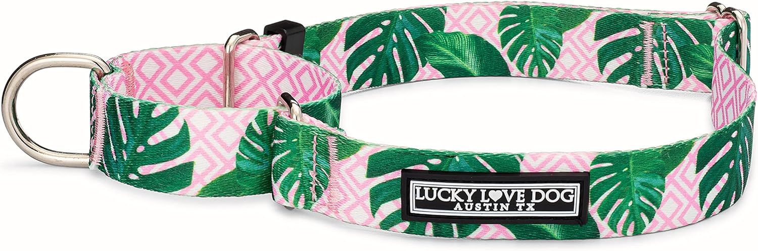 Lucky Love Dog Martingale Collar, Premium No Slip Collar, Great for Whippets, Greyhounds, and More (Blackbird, Medium)