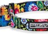 lucky love dog martingale collar premium no slip collar great for whippets greyhounds and more blackbird medium