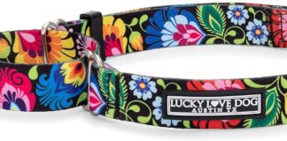 lucky love dog martingale collar premium no slip collar great for whippets greyhounds and more blackbird medium