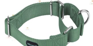 martingale dog collar nylon adjustable and safety training colourful comfortable metal buckle pet collars for small medi