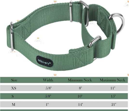 martingale dog collar nylon adjustable and safety training colourful comfortable metal buckle pet collars for small medi