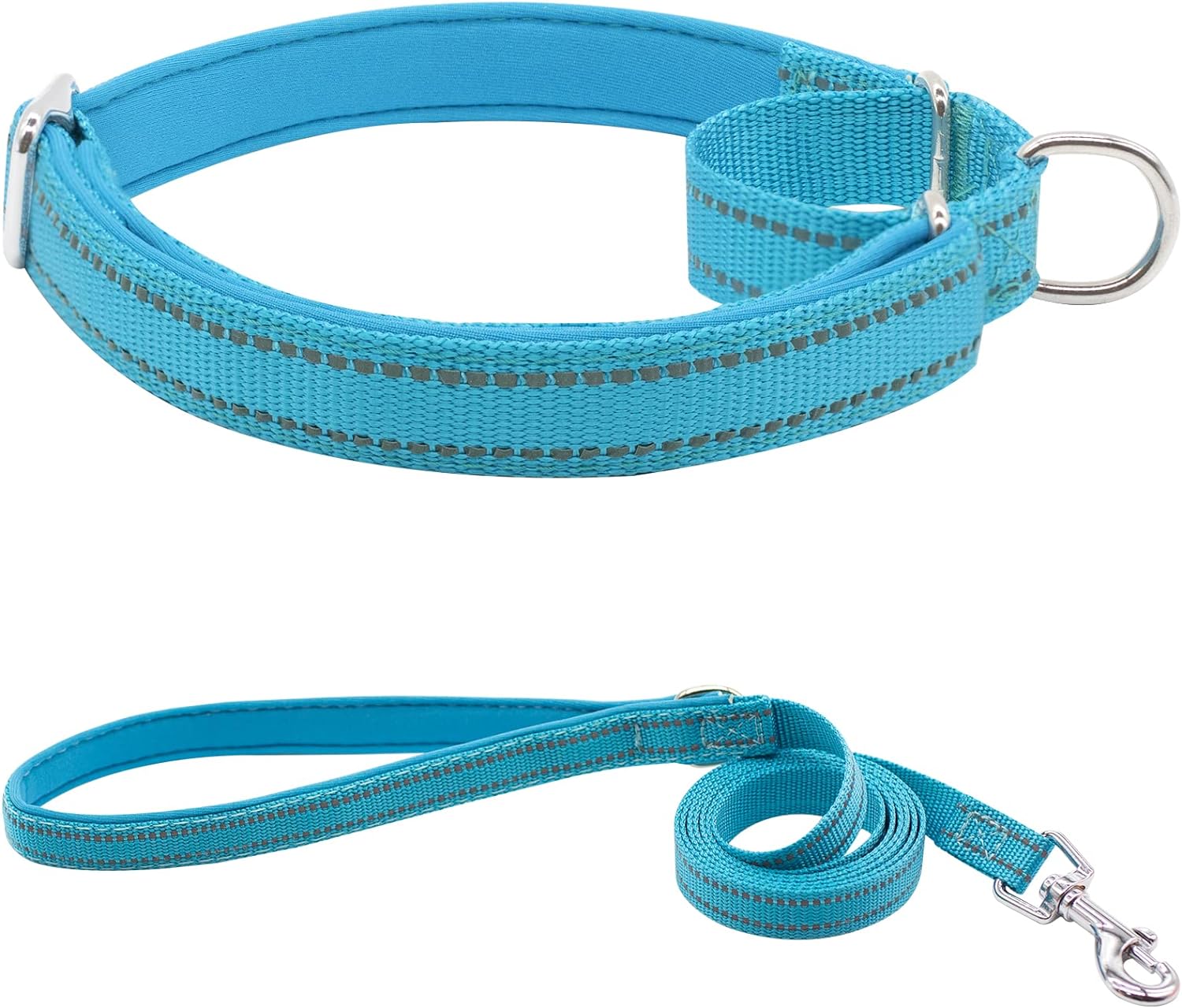 Nylon Martingale Dog Collar, Adjustable Reflective Heavy Duty Safe Slip Pet Collars with Leash for Small Medium Large Dogs, Blue S