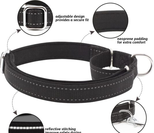 nylon martingale dog collar review