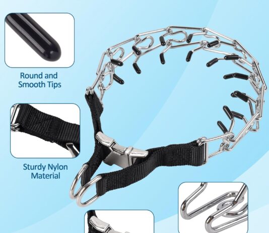 prong collar for dogs pinch collar with stainless steel buckle no pull dog choker collar for small medium large breed l