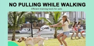 prong training collar for dogs review