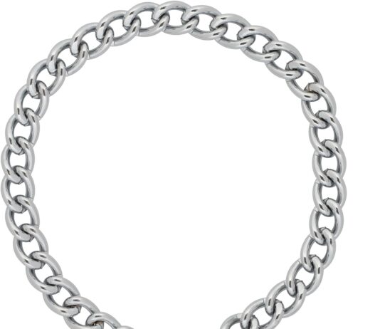 terrain dog chain slip collar chrome plated