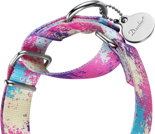 martingale collar dog collar no pull pet collar heavy duty dog martingale collars silky soft with unique pattern for med 1