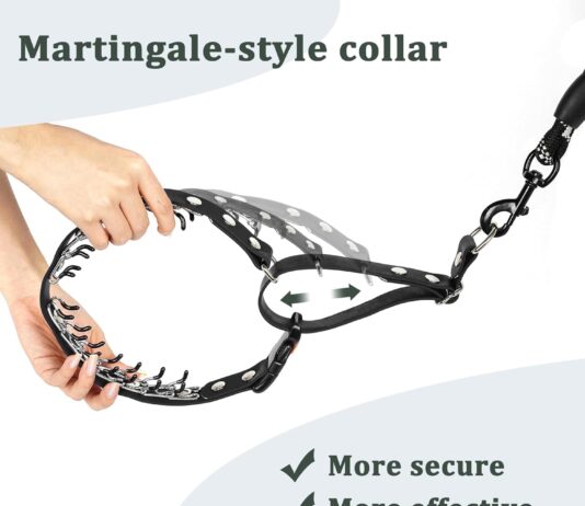 martingale collar for dogs no pull dog collar for small medium large breed anti pull dog collar for outdoor walking trai 3