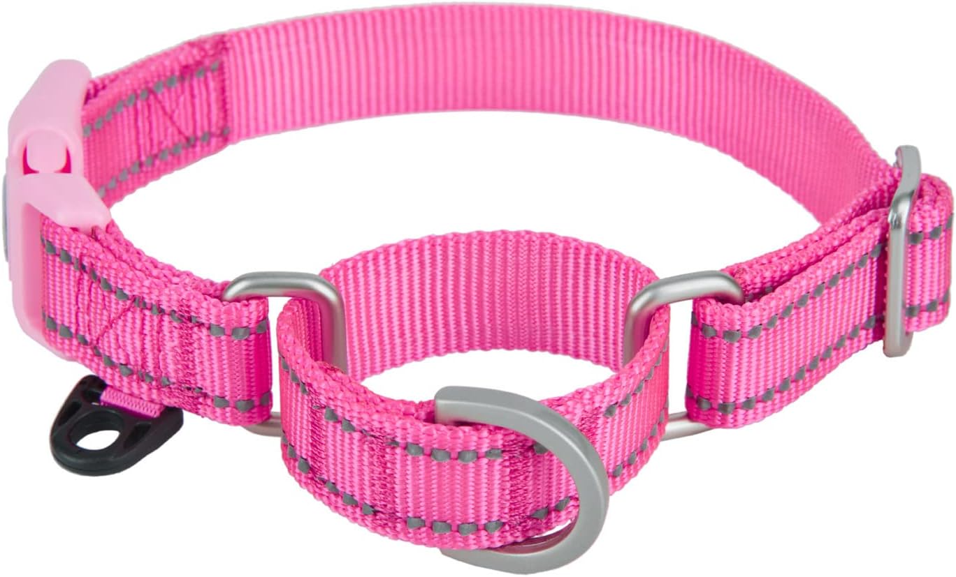 Martingale Dog Collar with Quick Release Buckle Reflective No Pull Training Escape-proof Safe Slip Collars for Small to Medium Dogs,Lilac