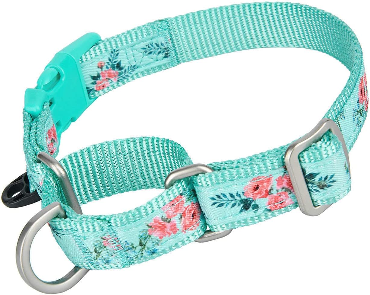 Martingale Dog Collars with Quick Snap Buckle in Floral Print Flower Nylon No Pull Collars for Female Male Large Dogs, Green