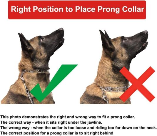mayerzon dog prong training collar stainless steel choke pinch dog collar with comfort tips x large4mm236 lnch18 22 neck 3