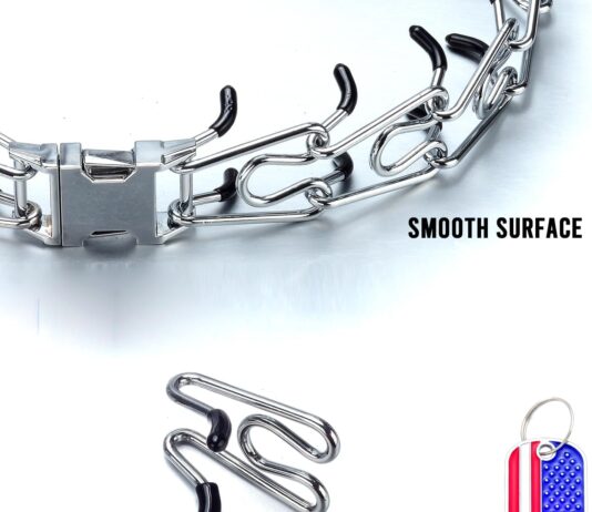 silver dog collar review
