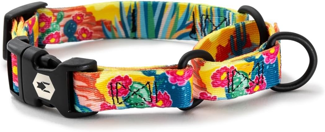 Wolfgang Premium Martingale Dog Collar for Small Medium Large Dogs, Made in USA, LostArt Print, Large (1 Inch x 18-22 Inch)