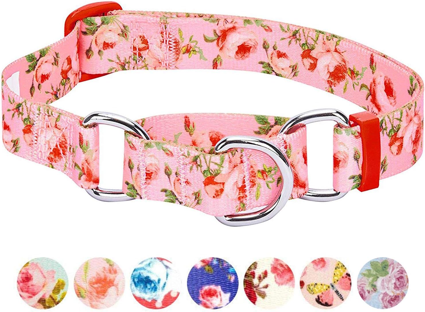 Blueberry Pet Spring Scent Inspired Rose Print Martingale Safety Training Dog Collar, Ivory, Large, Heavy Duty Adjustable Collars for Dogs