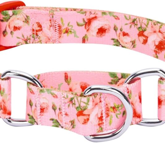 blueberry pet spring scent inspired rose print martingale safety training dog collar ivory large heavy duty adjustable c 2