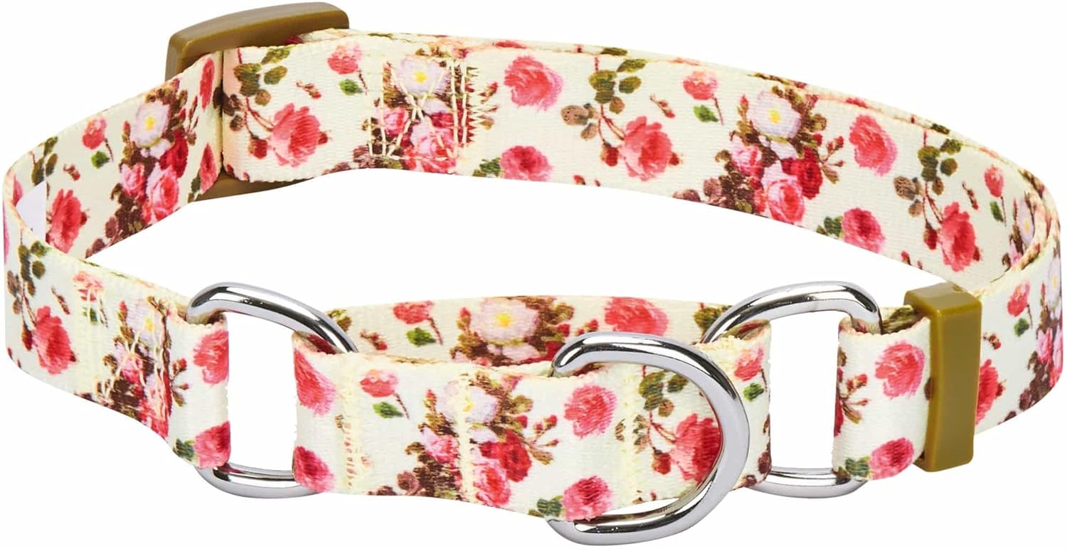 Blueberry Pet Spring Scent Inspired Rose Print Martingale Safety Training Dog Collar, Ivory, Large, Heavy Duty Adjustable Collars for Dogs