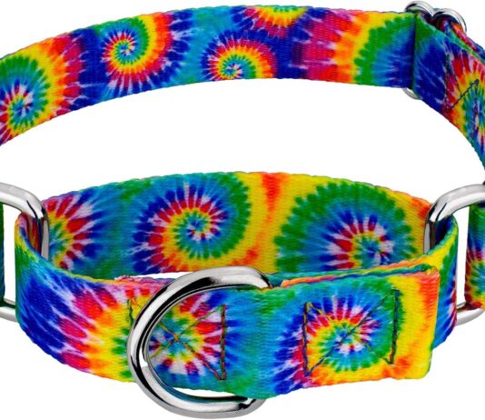 country brook petz classic tie dye martingale dog collar groovy collection featuring far out designs 1 inch large