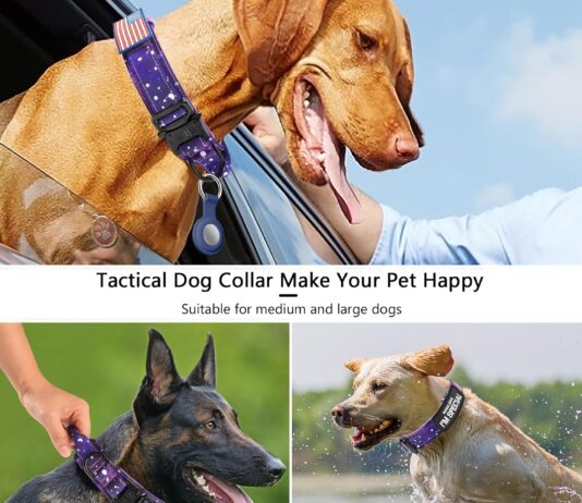 daganxi tactical dog collar review