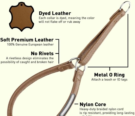 dogline genuine leather martingale collar review