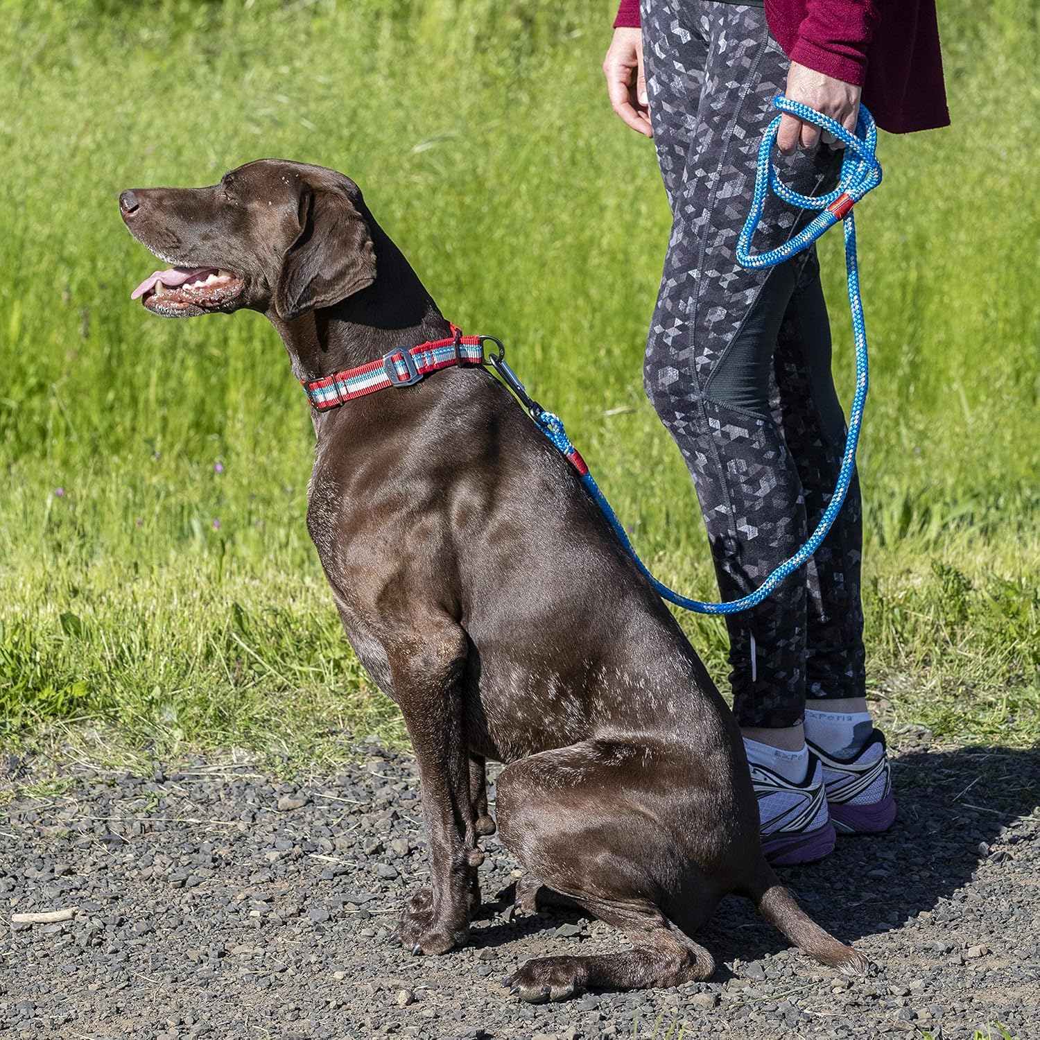 Kurgo Dog Training Collar | Martingale Style Collars for Dogs | Alternative to Choke Collars | Limited Slip | Adjustable | Reflective | Walk about Training Collar |(Small), Chili Red/Coastal Blue