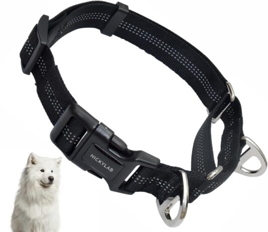 martingale collar for dogs small black 1