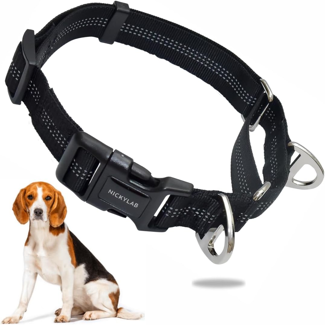 Martingale Collar for Dogs (Small, Black)