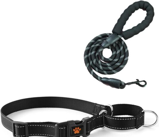 martingale collar for dogsreflective dog collar leash set with quick release buckle no pull collars adjustable for small