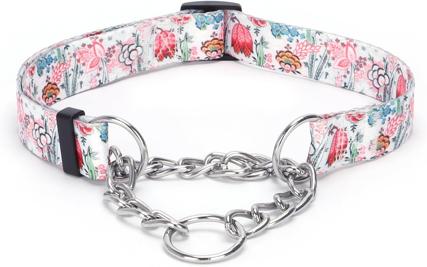 Martingale Dog Collar with Stainless Steel Chain - Limited Chain Cinch Training Collar for No Pull Training Dog - Flower Multicolor Cute Patterns - Premium No Slip Collar (L, Daisy)