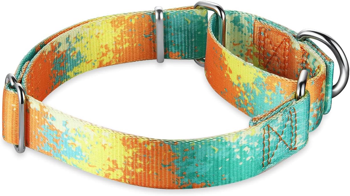 Martingale Dog Collars Colourful Oil painting Pattern series - No Pull Pet Collar Silky Soft for Medium and Large Dogs (Large, 1 Inch Wide, Deserts and oases)