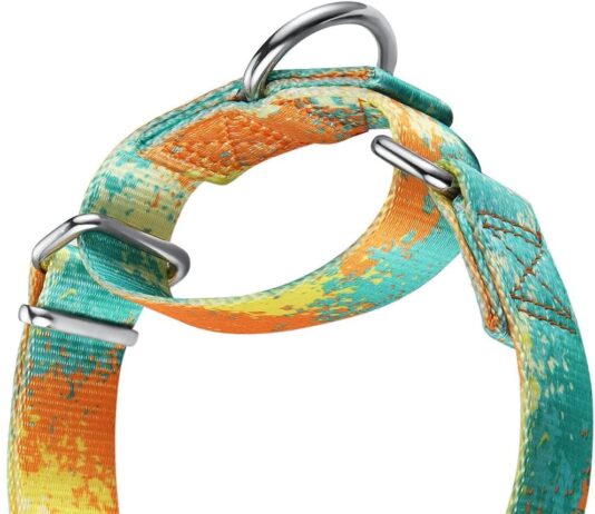 martingale dog collars colourful oil painting pattern series no pull pet collar silky soft for medium and large dogs lar