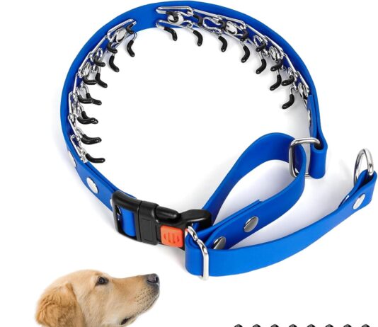 mayerzon martingale collar for dogs no pull dog collar for small medium large breed anti pull dog collar for outdoor wal