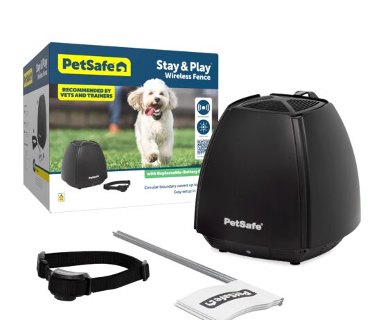 wireless dog fence training review