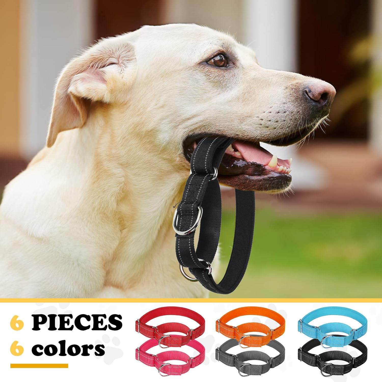 6 Pcs Martingale Collar for Dogs Reflective Dog Collar with Metal Buckle Adjustable Nylon PET Collar Prevent Slipping Out Puppy Collars for Dog (Sky Blue, Red, Orange, Pink, Gray, Black, Large)