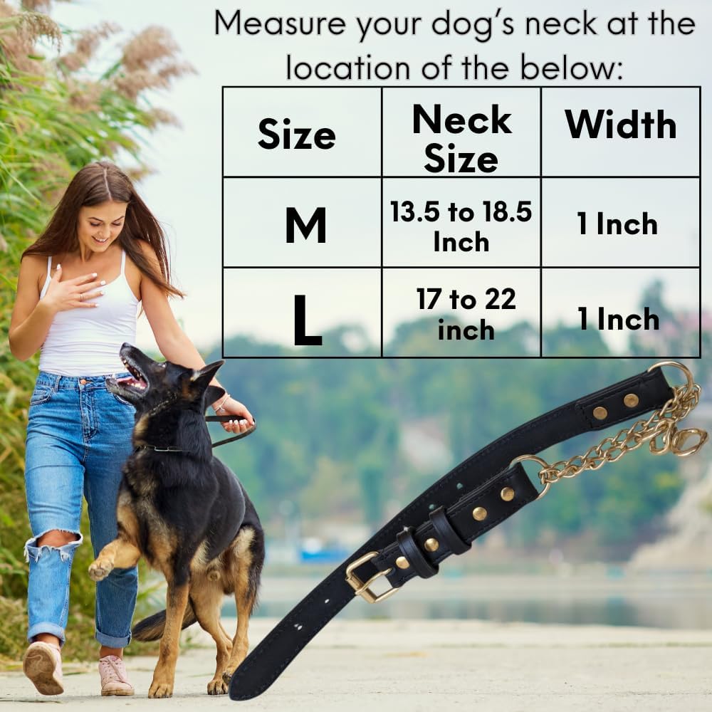 Leather Martingale Dog Collar | Soft No Pull Collar for Dogs, Solid Brass Chain, Limited Chain Cinch Training Collar. for Large, Medium and Small Dogs… (Black, Medium)