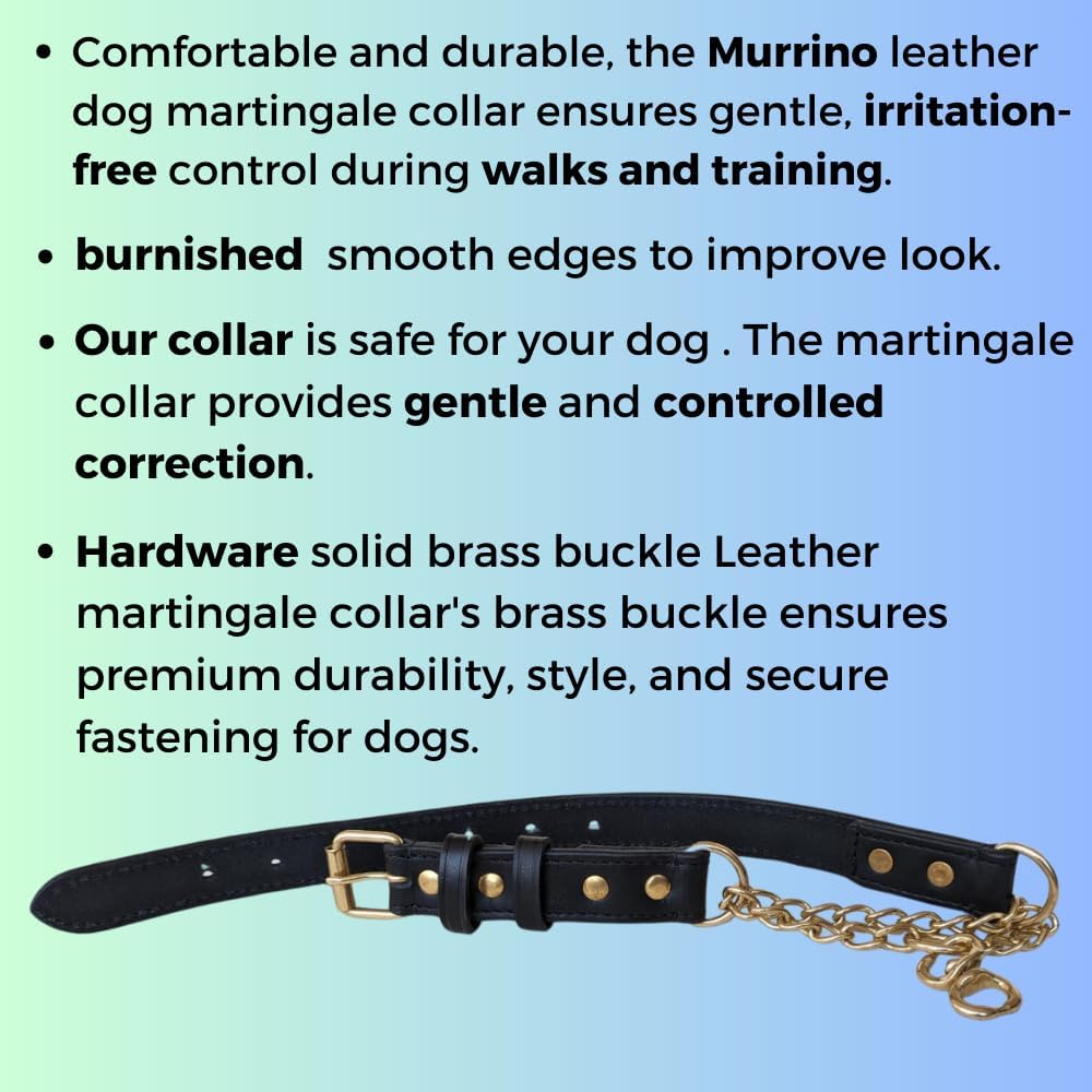 Leather Martingale Dog Collar | Soft No Pull Collar for Dogs, Solid Brass Chain, Limited Chain Cinch Training Collar. for Large, Medium and Small Dogs… (Black, Medium)